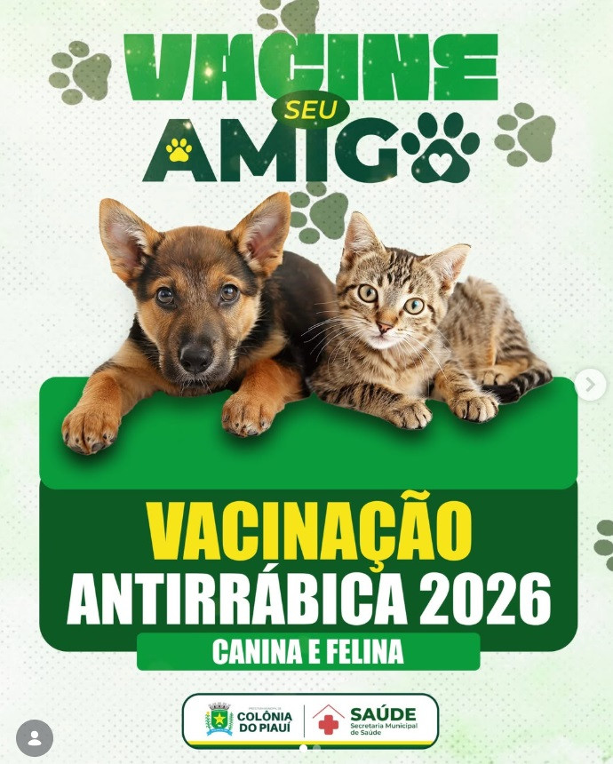 Notícia Principal